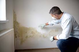 Best Air Quality Testing for Mold Spores  in Arnold, CA